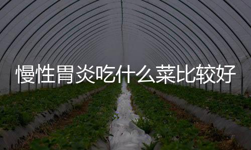 慢性胃炎吃什么菜比较好？