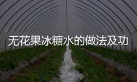 无花果冰糖水的做法及功效