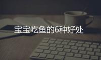 宝宝吃鱼的6种好处