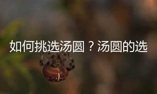 如何挑选汤圆？汤圆的选购技巧