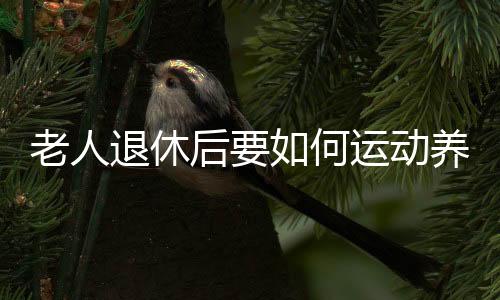 老人退休后要如何运动养生